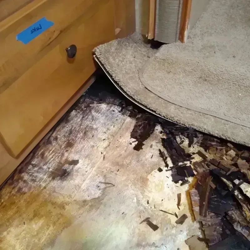 Wood Floor Water Damage in Broomfield, CO